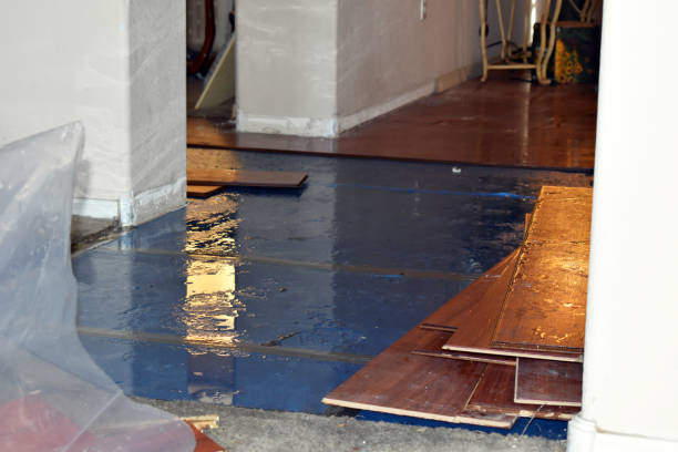 Professional Basement Water Removal technician working in Brentwood, NY